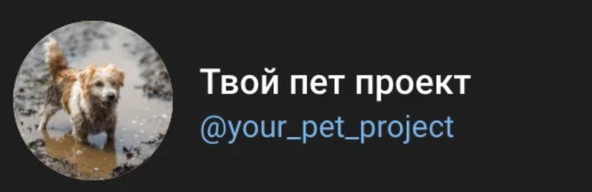 TG-канал команды